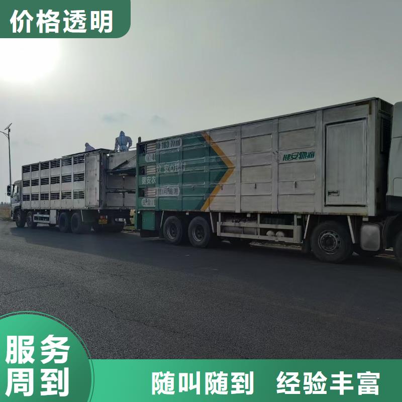 宿迁泗洪到种猪运输-恒温车匠心品质同城公司