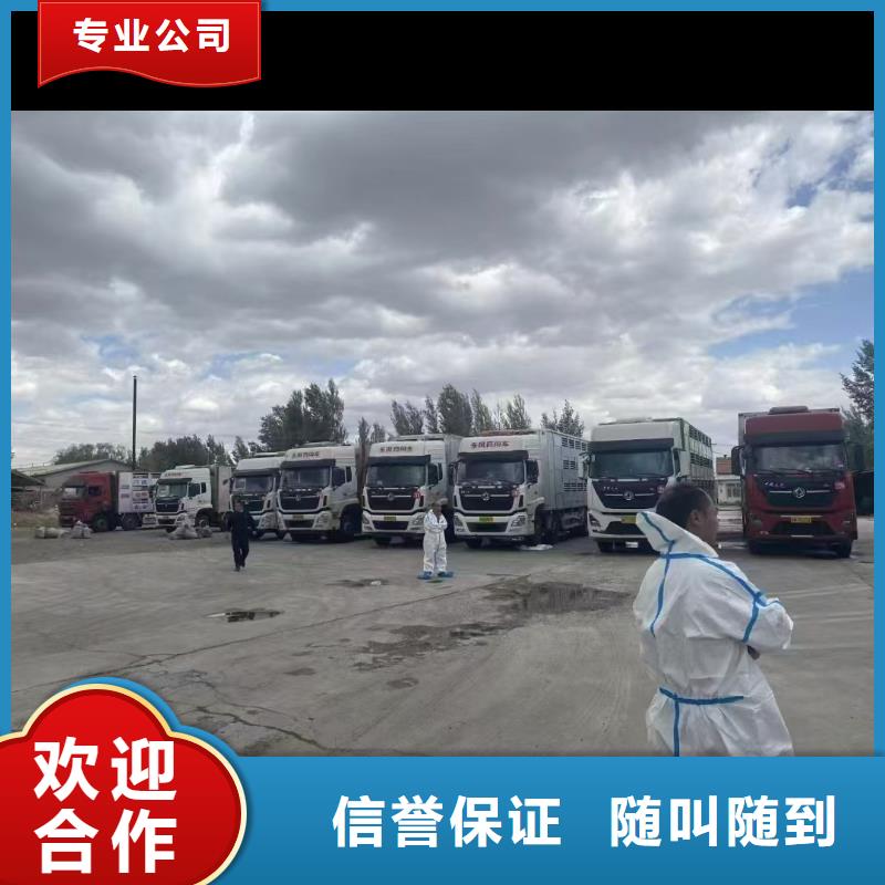 丽水至活禽运输恒温车靠谱商家本地服务商