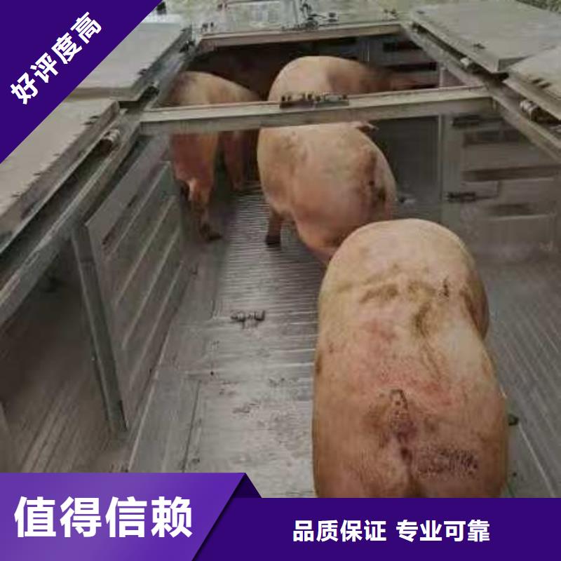 泰州到原料运输-专用车技术精湛支持加工定制