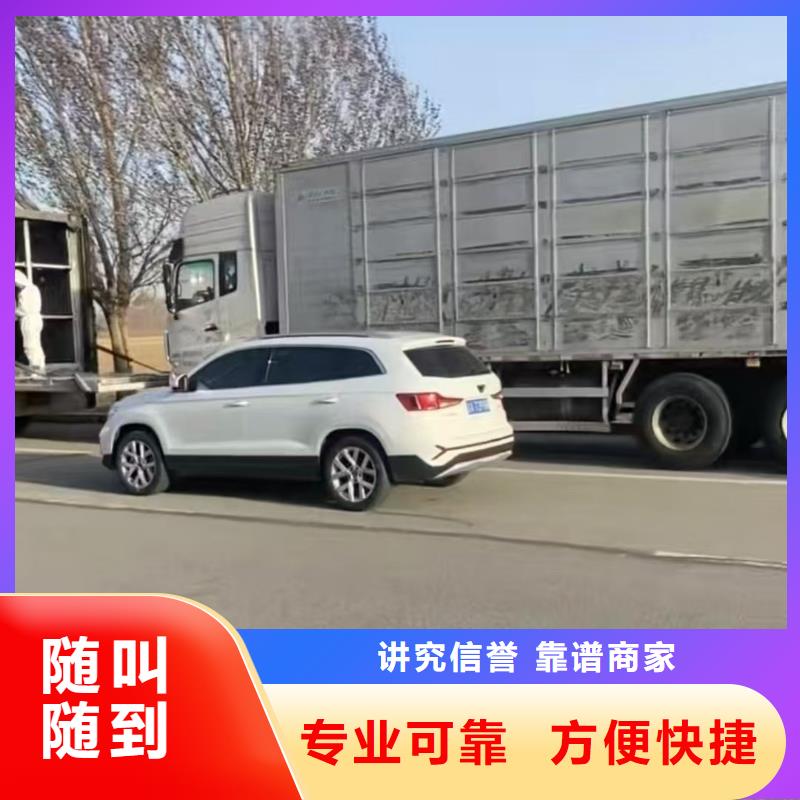 余杭到种猪运输专业团队二育运输同城制造商