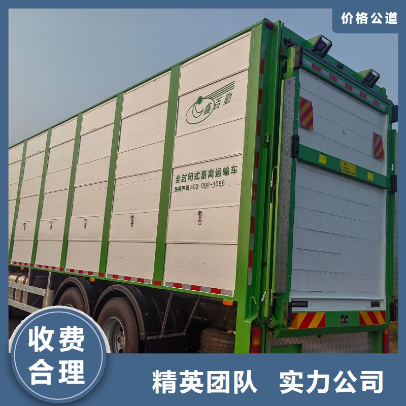 宿迁沭阳到农牧物流管理规范同城生产商