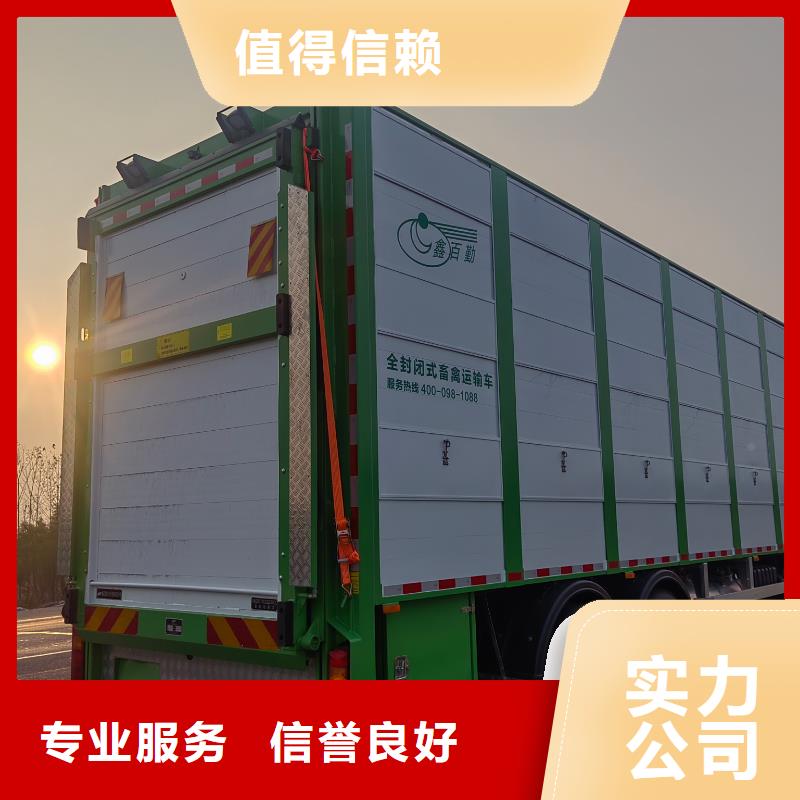浙江到仔猪运输用心细节
