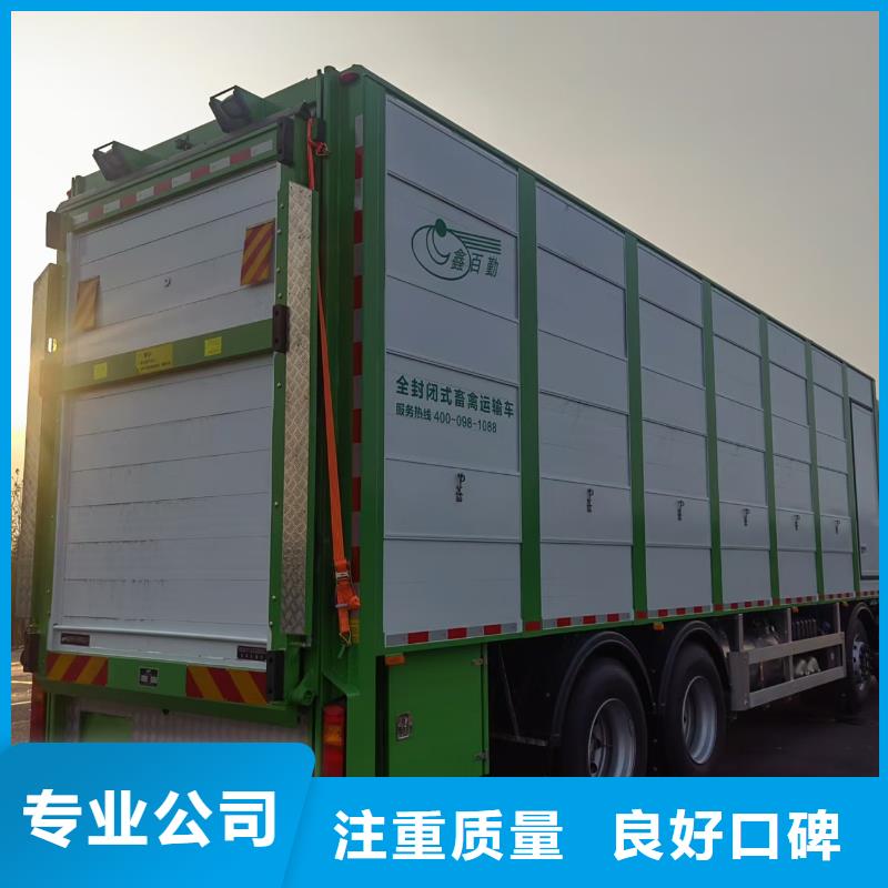 宿迁沭阳到牛运输-专用车实力团队工厂采购