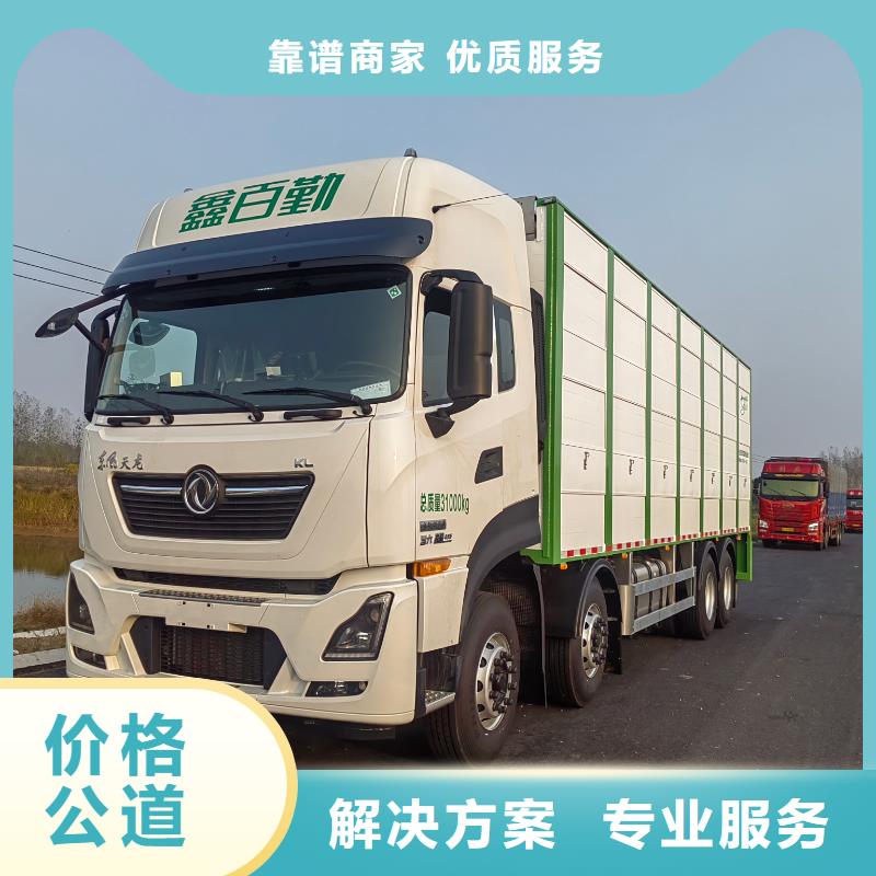 沭阳到猪笼车物流-空调车省钱省时本地货源
