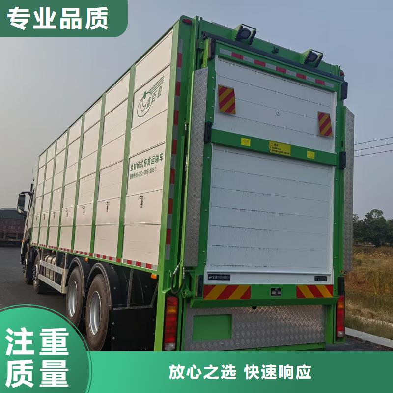 沭阳到仔猪运输-专用车全程呵护当地品牌