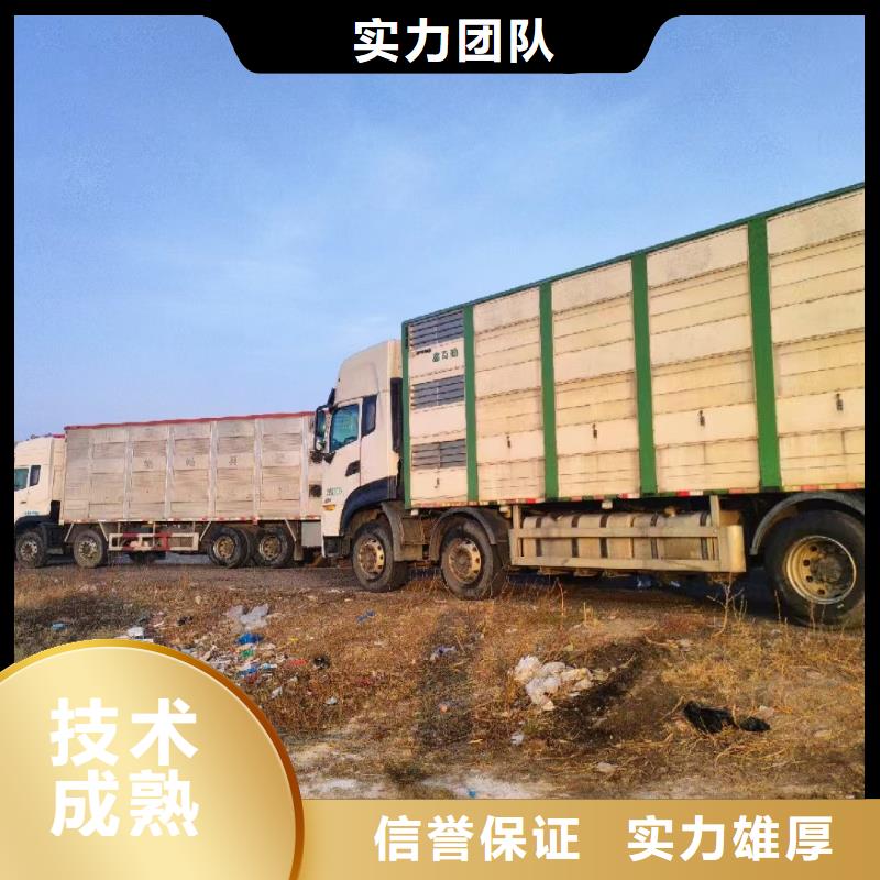 宿迁到仔猪恒温车运输有条不紊实力雄厚品质保障