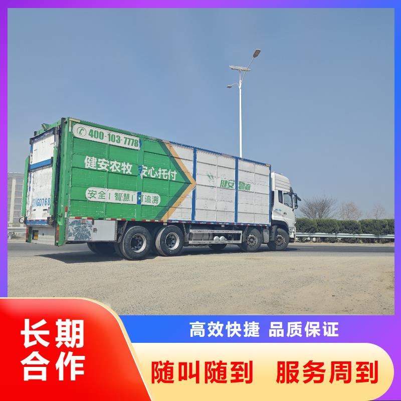泰安至活禽运输恒温车解决方案大品牌值得信赖