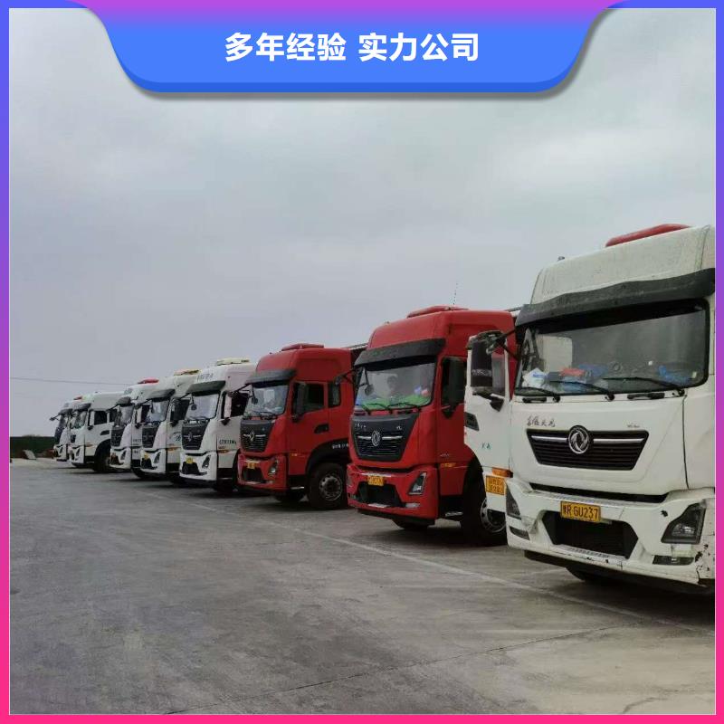 ​开封到种猪运输恒温车信誉良好买的放心安兴用的舒心
