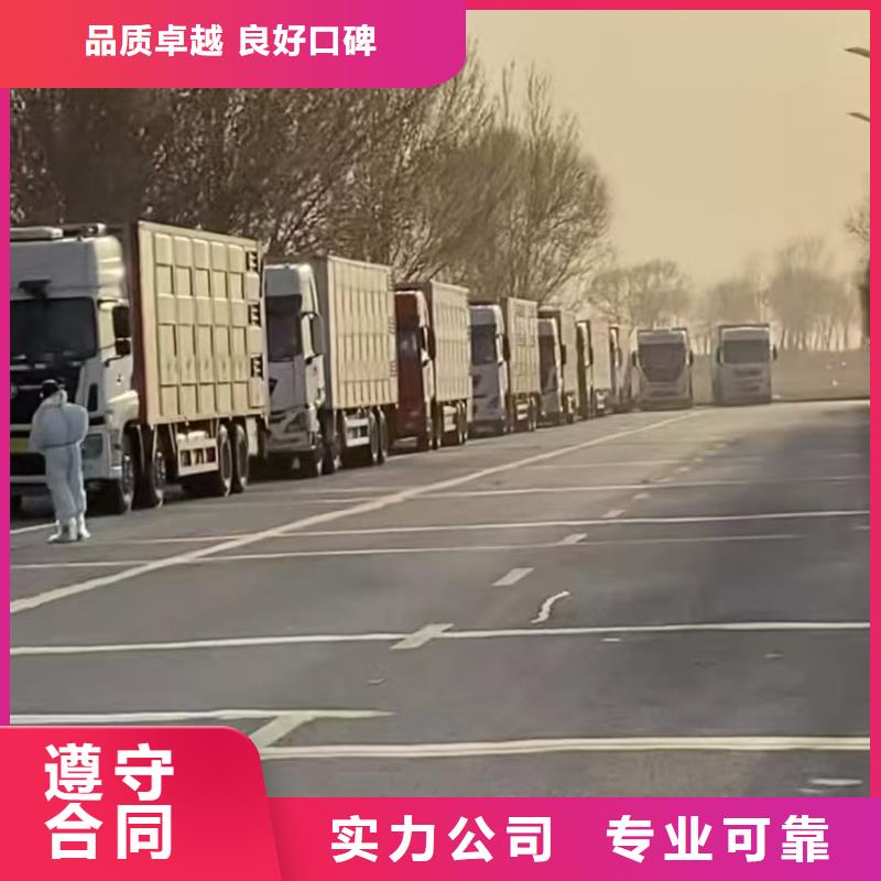 宿迁到生猪运输防护周全本地制造商