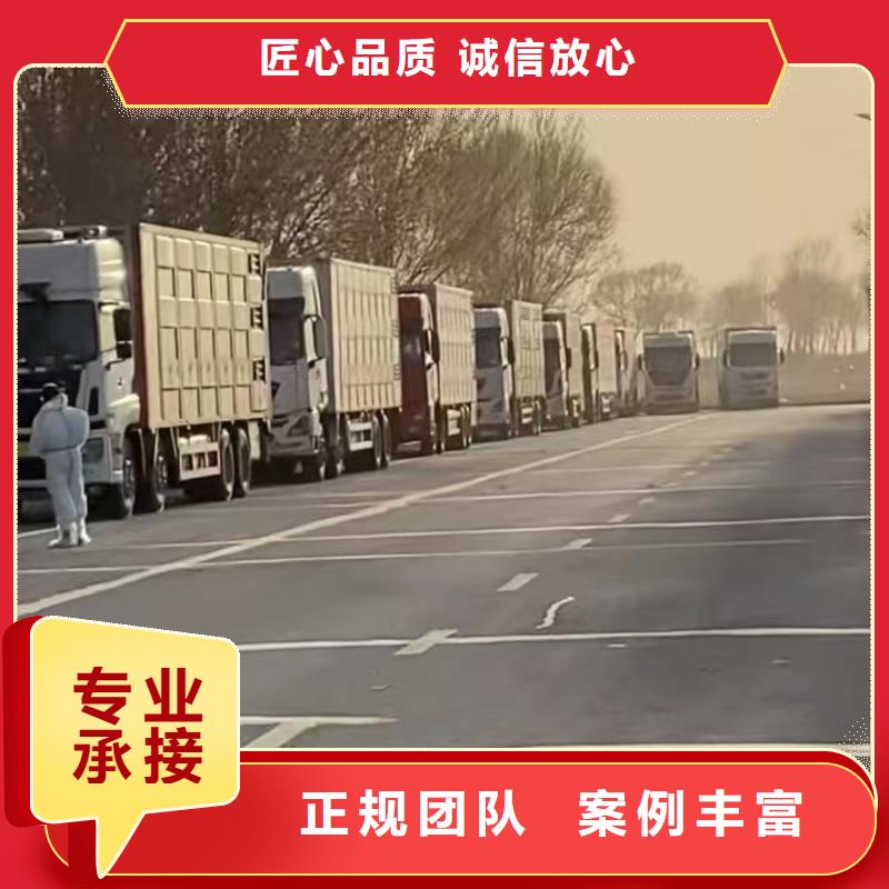 滨州至猪运输调度精准好产品价格低