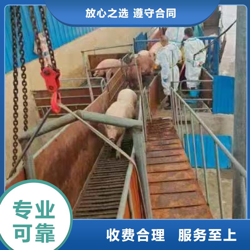 ​泰州至农牧运输恒温车诚信经营本地公司