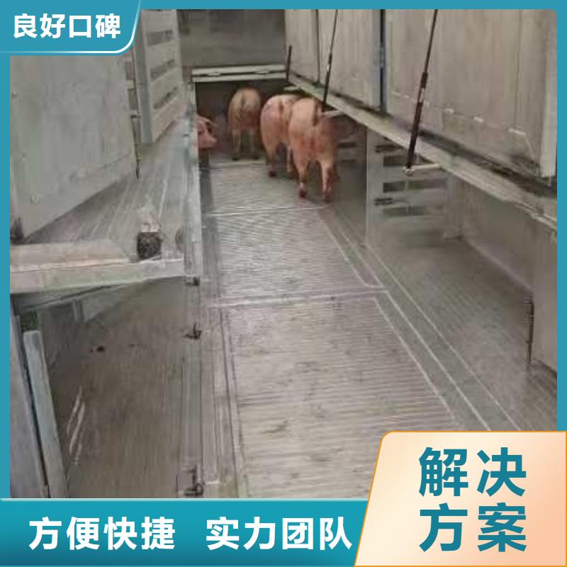 合肥到仔猪运输规模宏大本地生产商