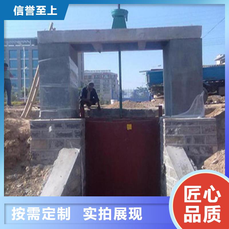机闸一体式闸门诚信为本本地生产商