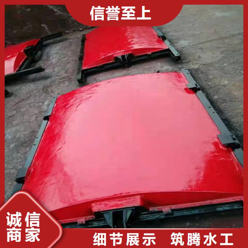 双向铸铁闸门真诚合作本地公司