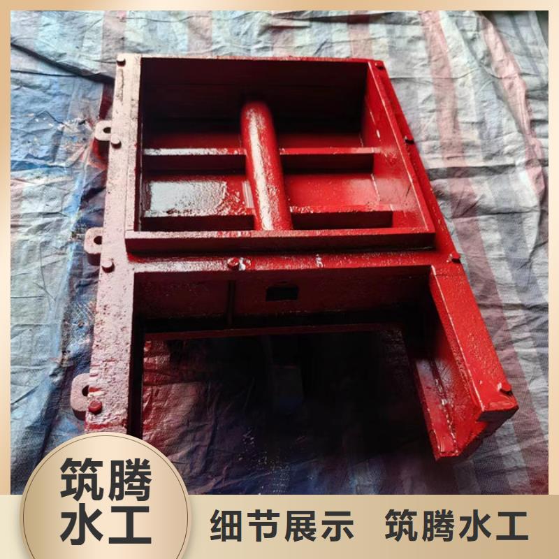 双向铸铁闸门真诚合作同城服务商