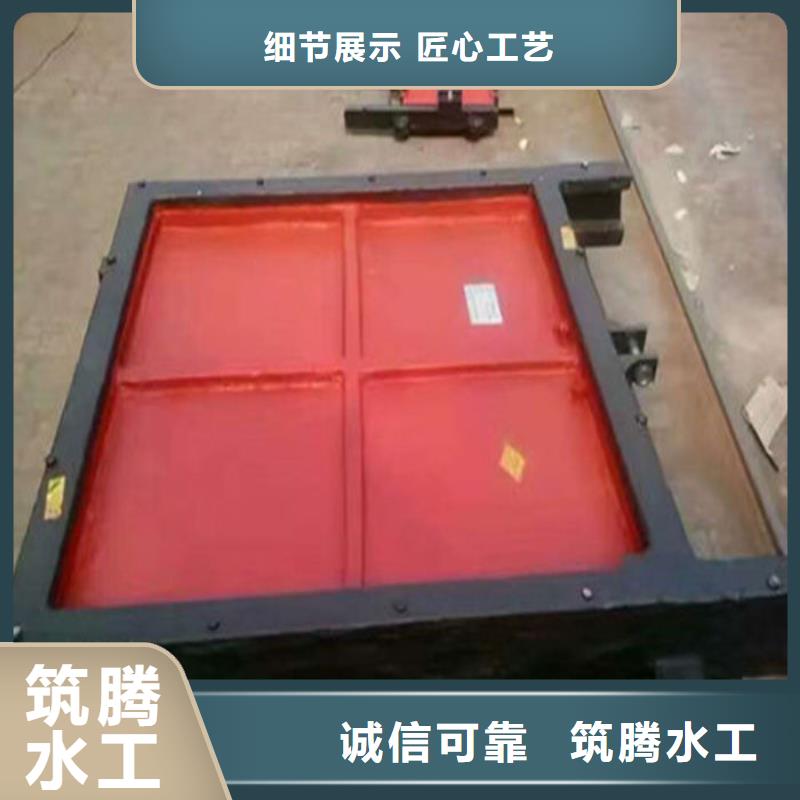 双向镶铜铸铁闸门真诚合作精致工艺