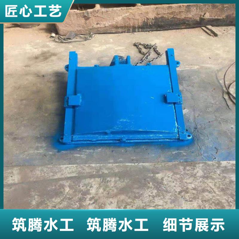 泵站铸铁闸门用心经营当地服务商