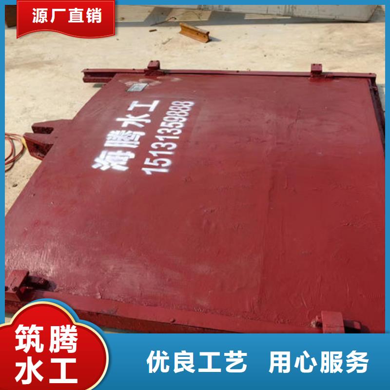 镶铜铸铁闸门诚信为本定制定做