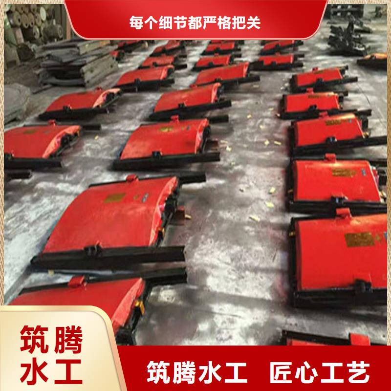 双向铸铁闸门型号齐全当地服务商