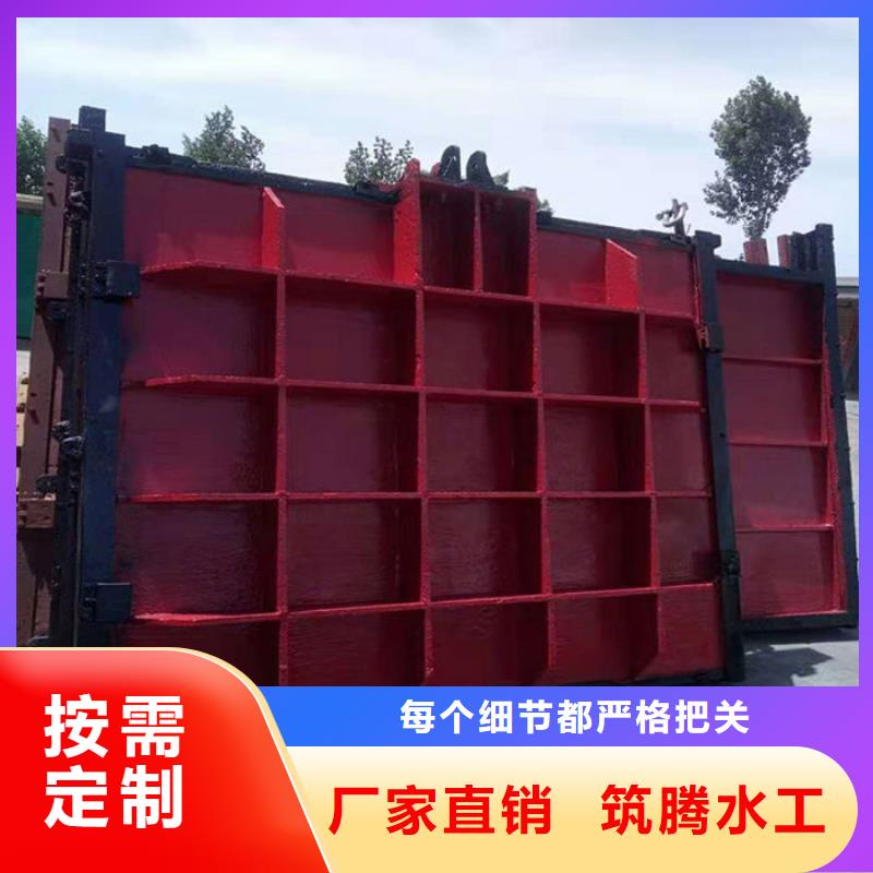 镶铜铸铁闸门真诚合作本地供应商