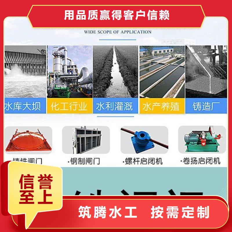 双向镶铜铸铁闸门型号齐全厂家十分靠谱