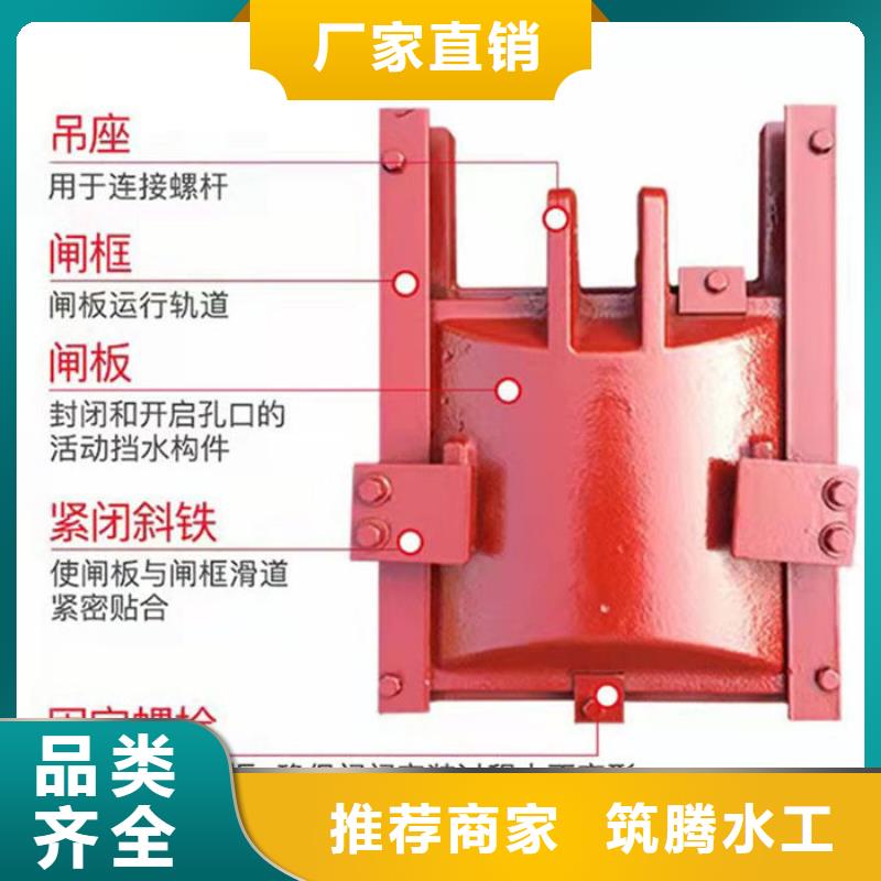 双向镶铜铸铁闸门型号齐全批发商
