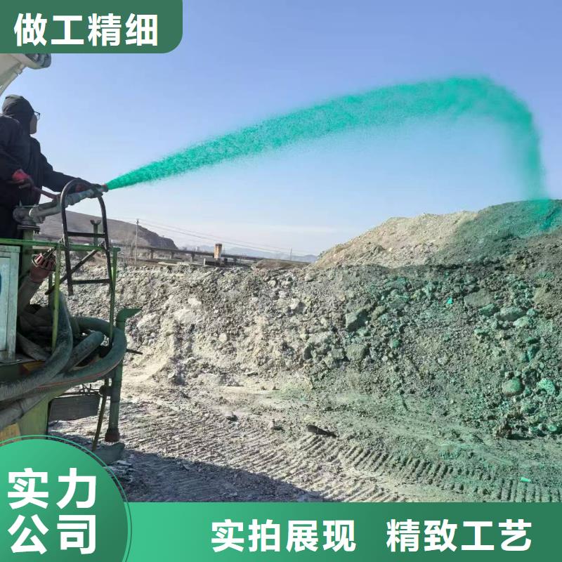 绿色结壳抑尘剂生物抑尘剂厂家地址本地服务商