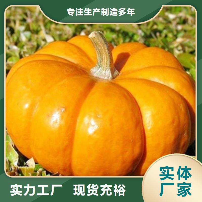 南瓜丁紫薯丁多种款式可随心选择优质工艺