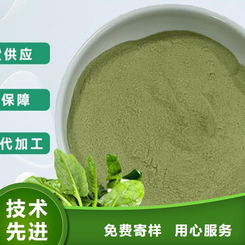 菠菜生粉全国配送N年专注