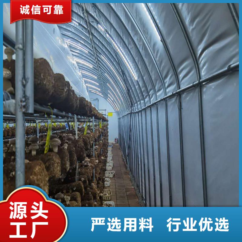 大棚管2_方管专业的生产厂家口碑好实力强
