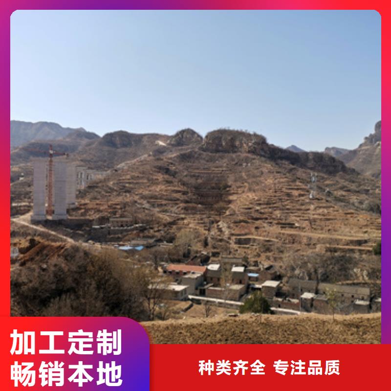 环保发电机出租匠心制造