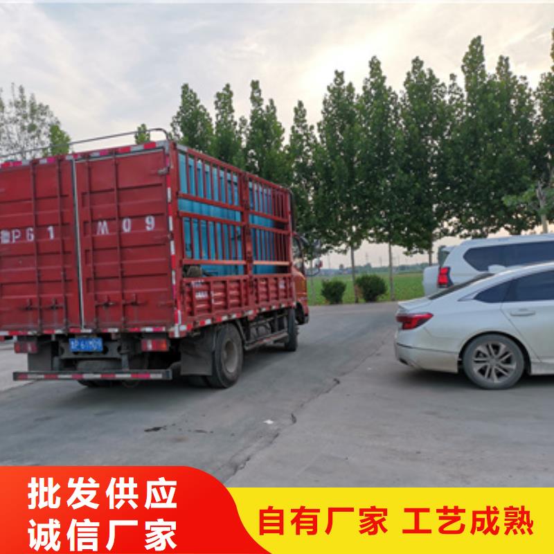 出租10KV发电机含运费产品细节参数