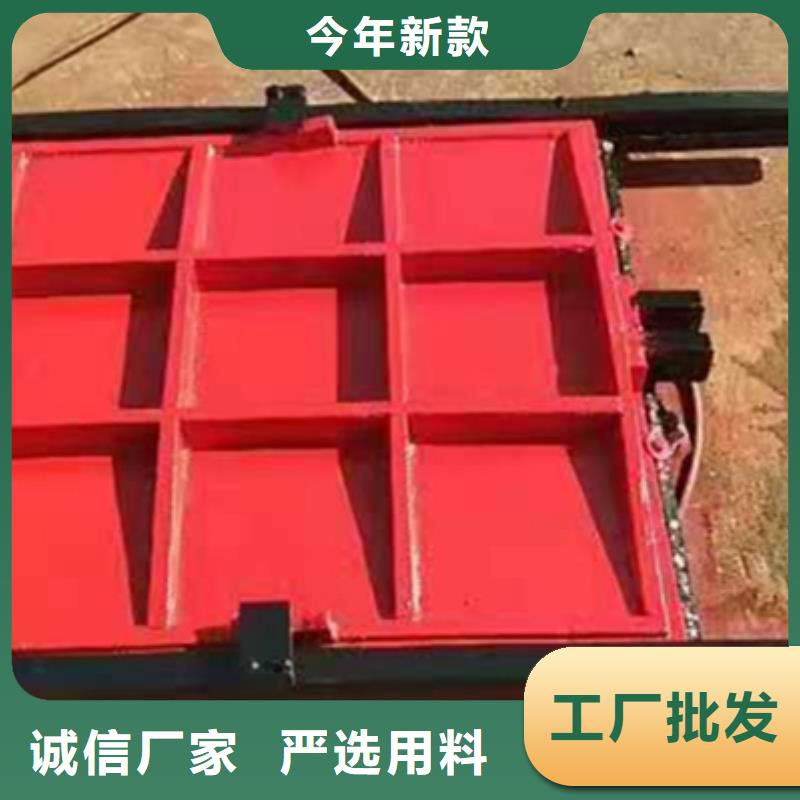 铸铁闸门泵站清污机精选货源质量牢靠