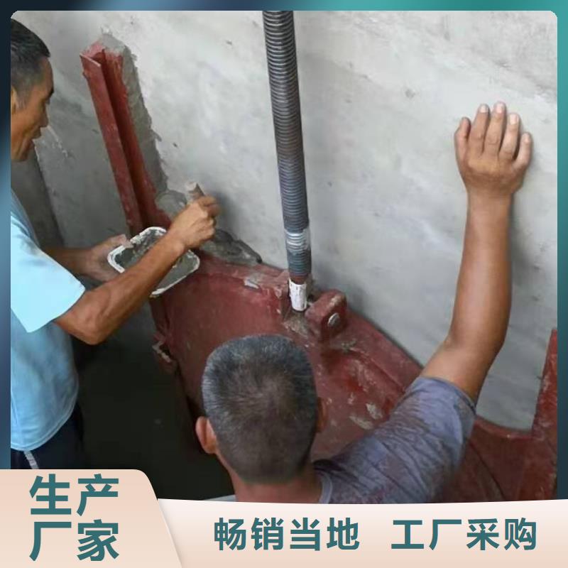 水库铸铁闸门支持定制24小时下单发货