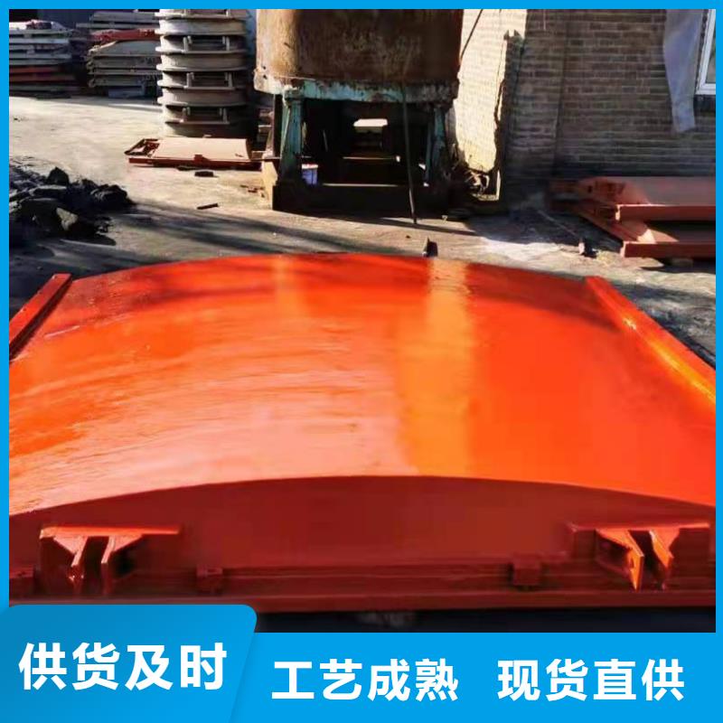 镶铜铸铁闸门价格低本地制造商