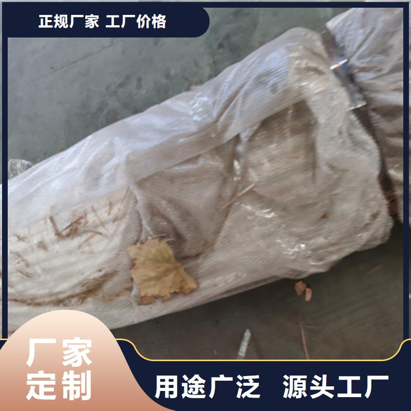桥梁不锈钢灯光隔离防撞栏杆型号规格齐全质量牢靠