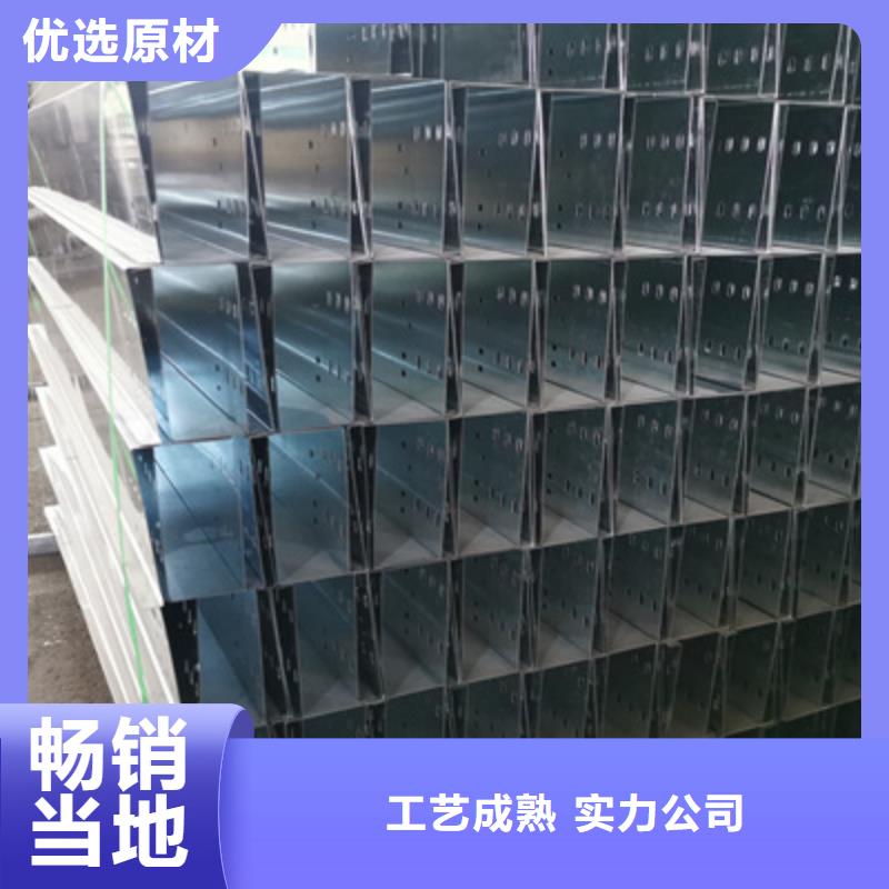 热浸锌桥架工厂批发全国发货工程施工案例