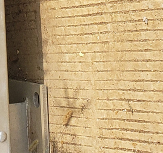 桥梁护栏不用_道路护栏现货销售同城生产商