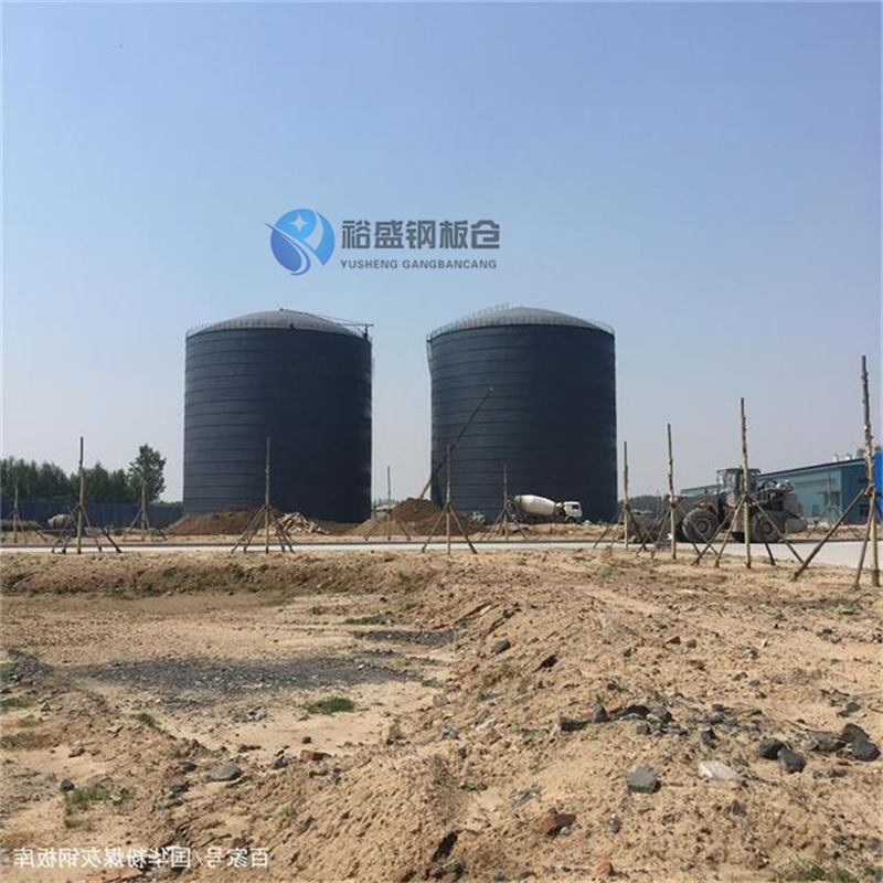 水泥厂钢板库现场安装