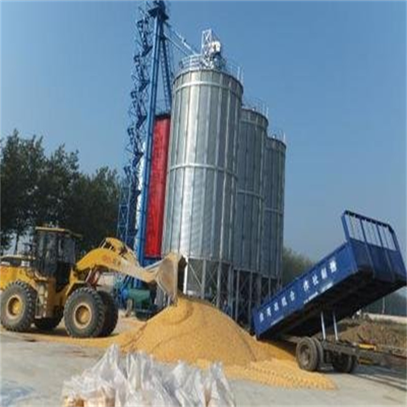 大型立式粮食筒仓厂家-交期短