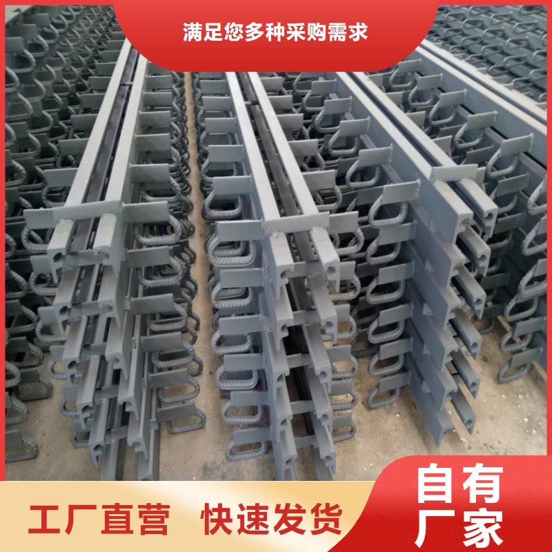 桥梁伸缩缝_钢结构支座供您所需出货及时
