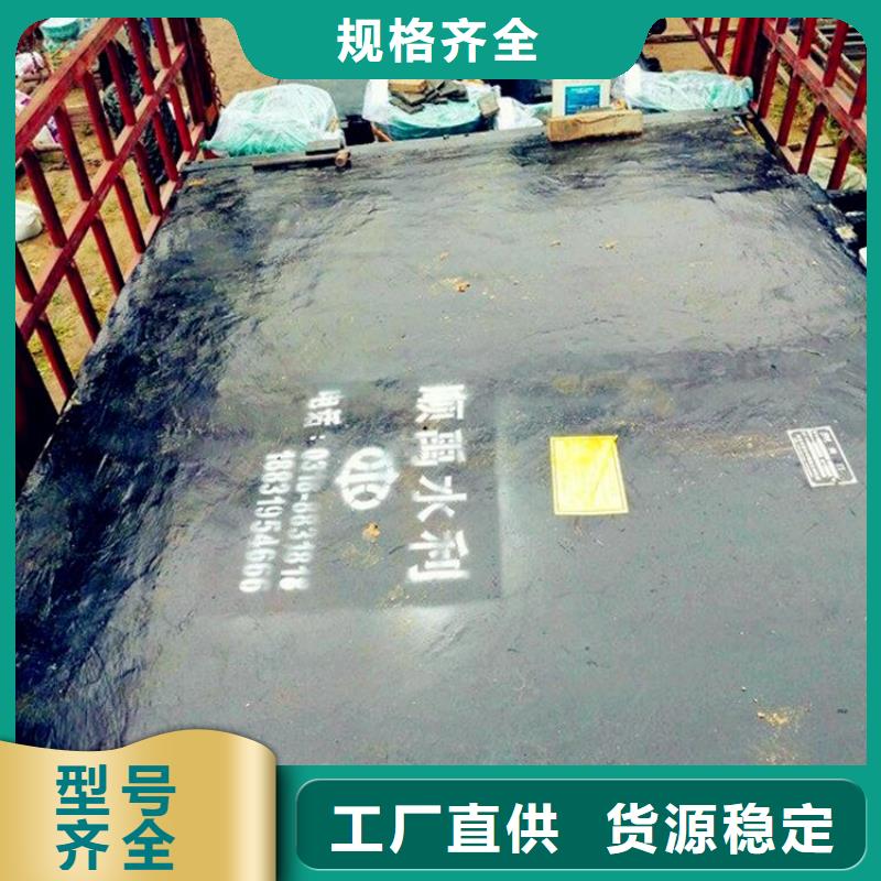 铸铁闸门液压折叠坝快速发货同城公司