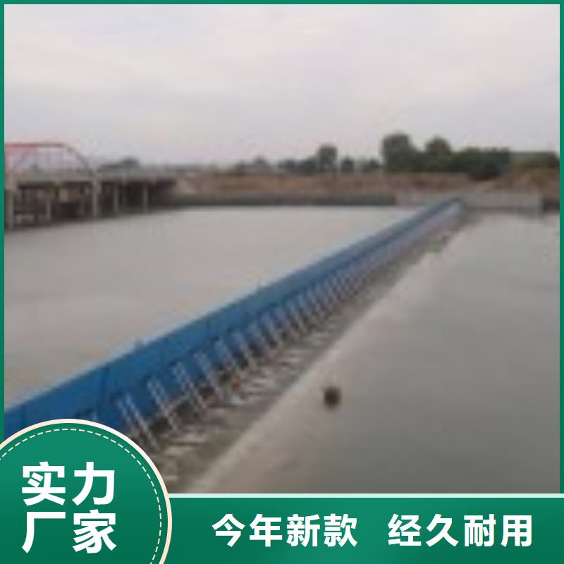 翻板闸门讲信誉保质量当地制造商