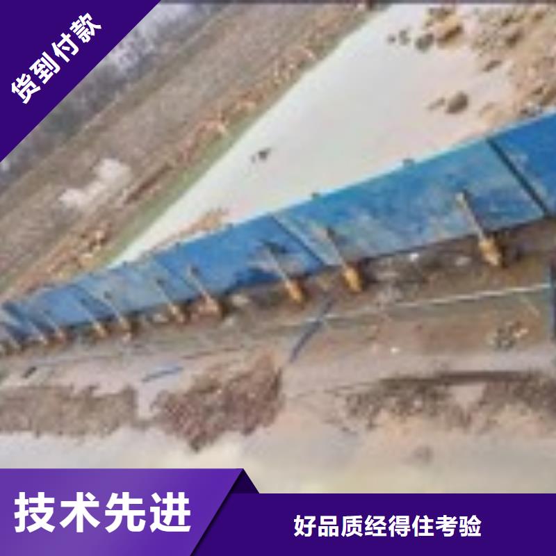 翻板闸门钢制拍门实力公司本地供应商