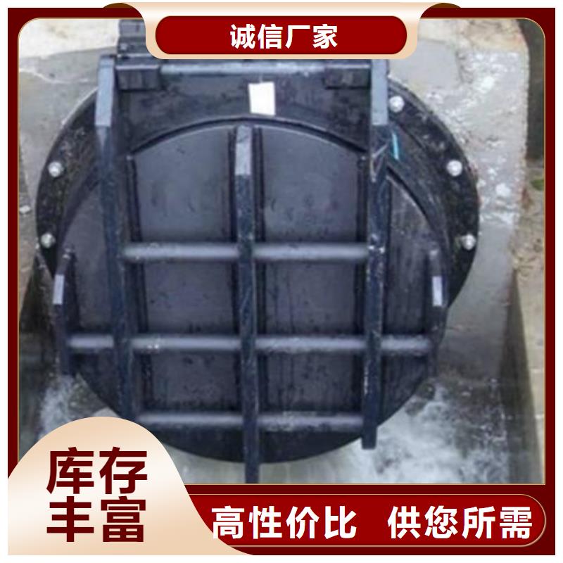 拍门,【钢坝闸门】实力优品用品质说话