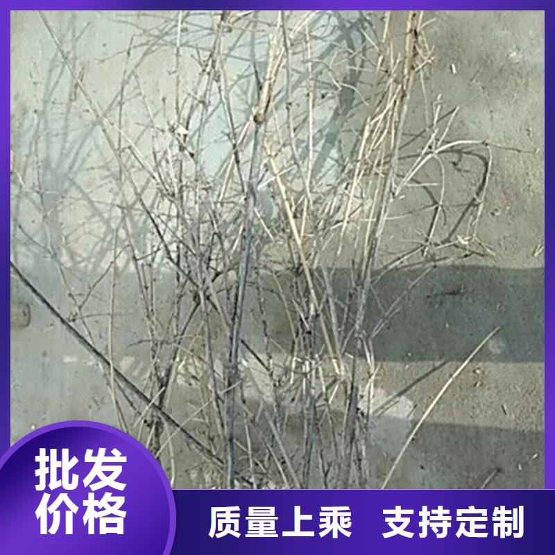 杈杷果_石榴树行业优选追求细节品质
