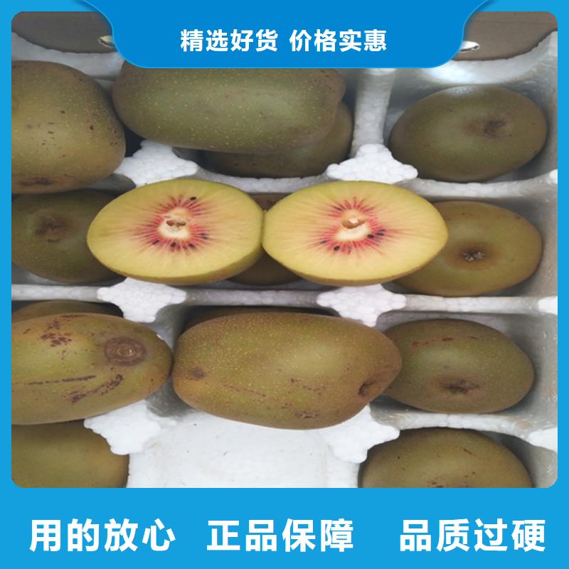猕猴桃樱桃苗主推产品同城生产厂家
