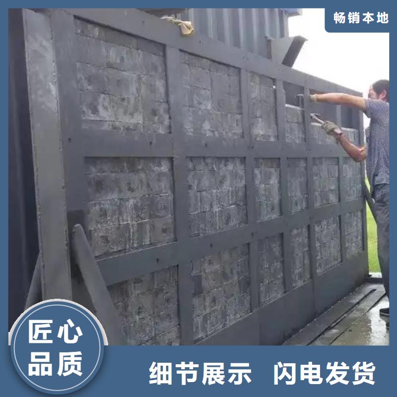 【射线防护工程】铅门厂家真正的源头厂家源头直供