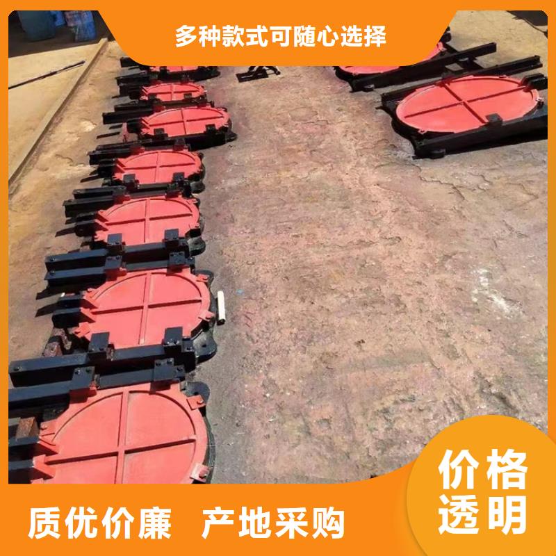 铸铁镶铜闸门[制造生产商]同城制造商