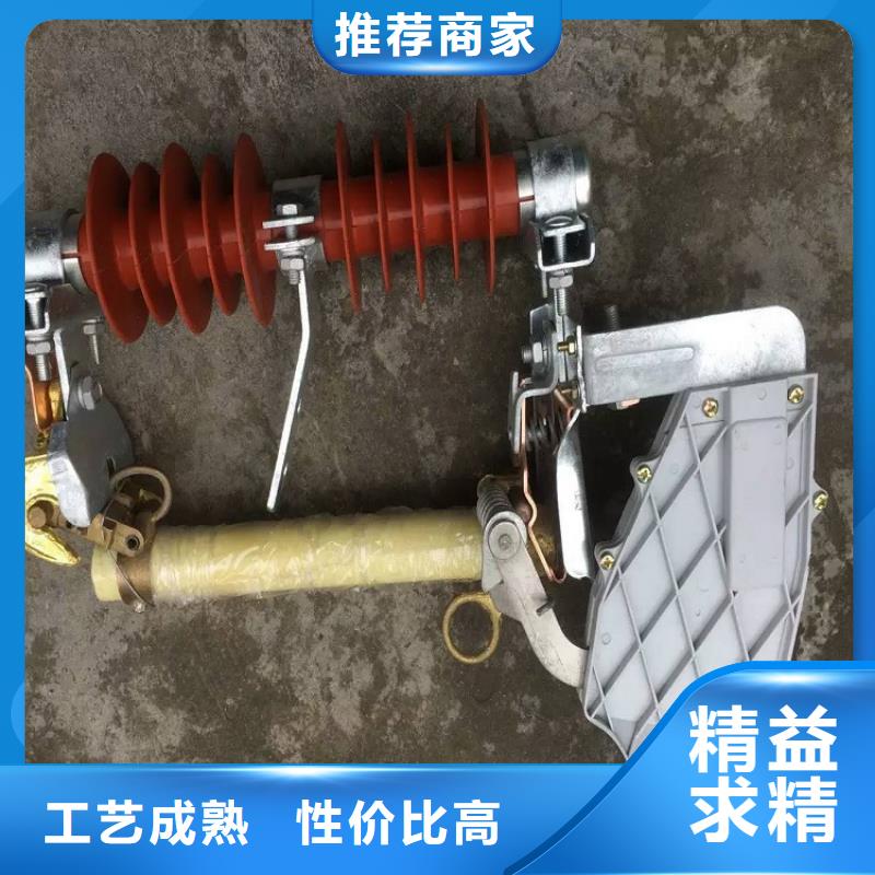 熔断器【避雷器】源厂供货本地货源